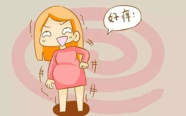 局部位置比较潮湿就容易引起炎症,一旦发痒一些产后妈妈们就会忍不